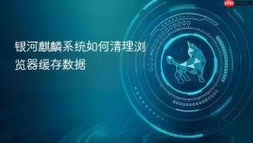 银河麒麟系统如何清理浏览器缓存数据