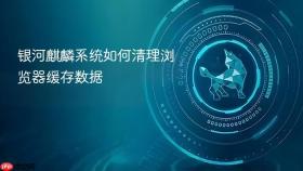 银河麒麟系统如何清理浏览器缓存数据