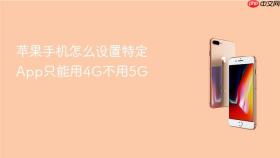 苹果手机怎么设置特定app只能用4g不用5g