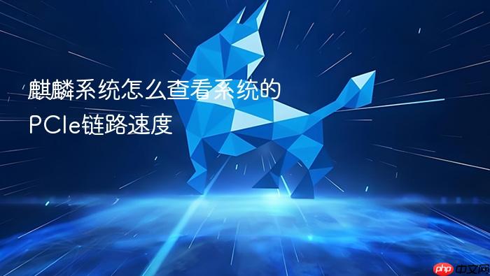 麒麟系统怎么查看系统的pcie链路速度