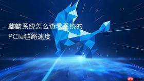 麒麟系统怎么查看系统的pcie链路速度