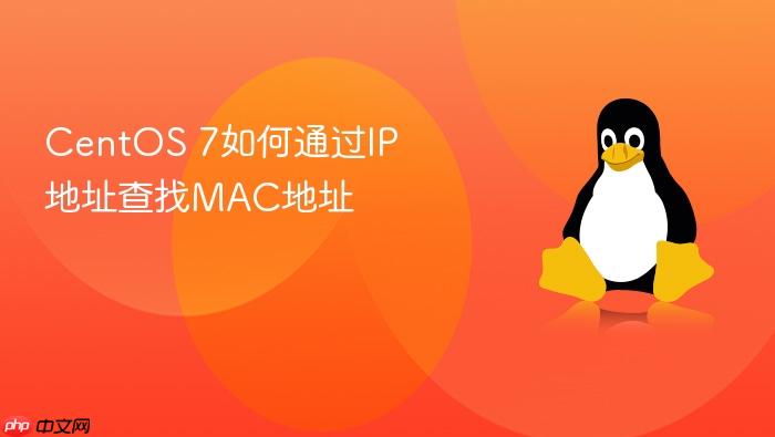 centos 7如何通过ip地址查找mac地址