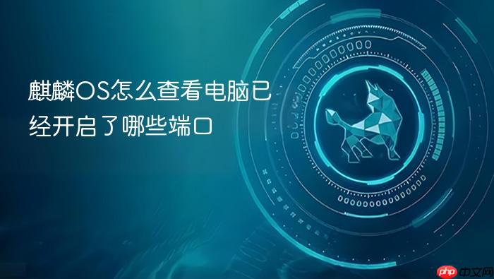 麒麟os怎么查看电脑已经开启了哪些端口