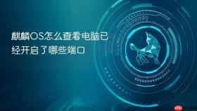 麒麟os怎么查看电脑已经开启了哪些端口