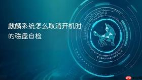 麒麟系统怎么取消开机时的磁盘自检
