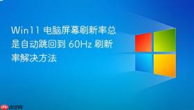 win11 电脑屏幕刷新率总是自动跳回到 60hz 刷新率解决方法