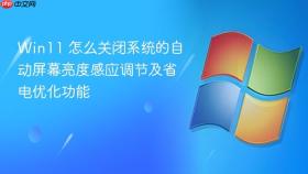 win11 怎么关闭系统的自动屏幕亮度感应调节及省电优化功能