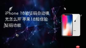 iphone 18验证码自动填充怎么开 苹果18短信验证码功能