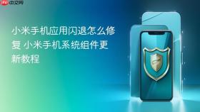 小米手机应用闪退怎么修复 小米手机系统组件更新教程