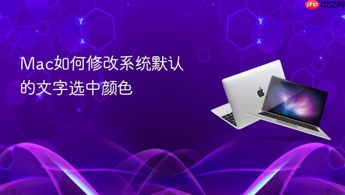 mac如何修改系统默认的文字选中颜色