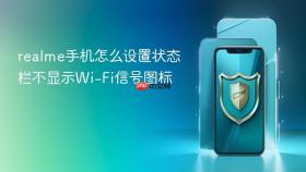 realme手机怎么设置状态栏不显示wi-fi信号图标