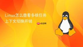 linux怎么查看多核任务上下文切换开销