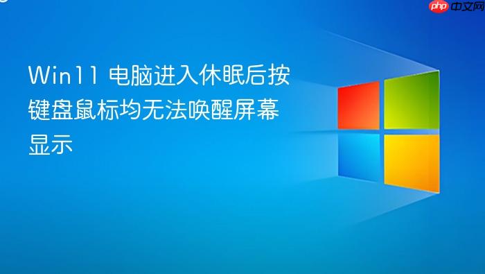 win11 电脑进入休眠后按键盘鼠标均无法唤醒屏幕显示