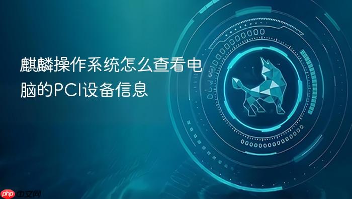 麒麟操作系统怎么查看电脑的pci设备信息