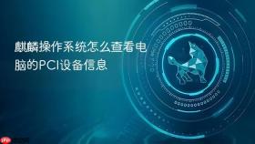 麒麟操作系统怎么查看电脑的pci设备信息