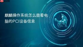 麒麟操作系统怎么查看电脑的PCI设备信息