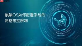 麒麟os如何配置系统的网络带宽限制