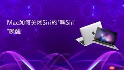 Mac如何关闭Siri的“嘿Siri”唤醒