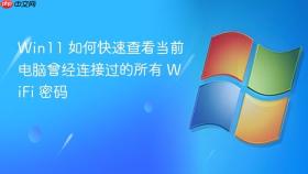win11 如何快速查看当前电脑曾经连接过的所有 wifi 密码