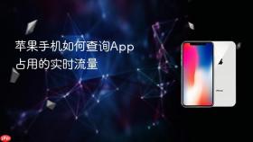 苹果手机如何查询app占用的实时流量