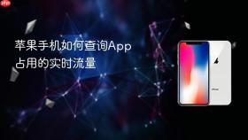 苹果手机如何查询App占用的实时流量