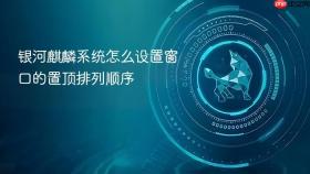 银河麒麟系统怎么设置窗口的置顶排列顺序