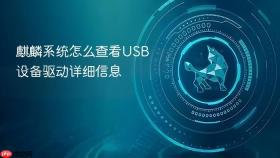 麒麟系统怎么查看usb设备驱动详细信息