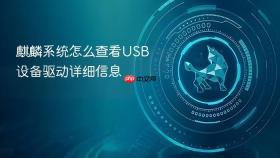 麒麟系统怎么查看USB设备驱动详细信息