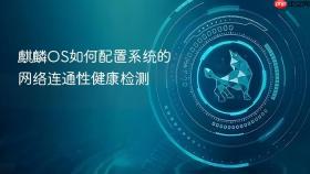 麒麟os如何配置系统的网络连通性健康检测
