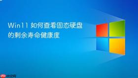 Win11 如何查看固态硬盘的剩余寿命健康度