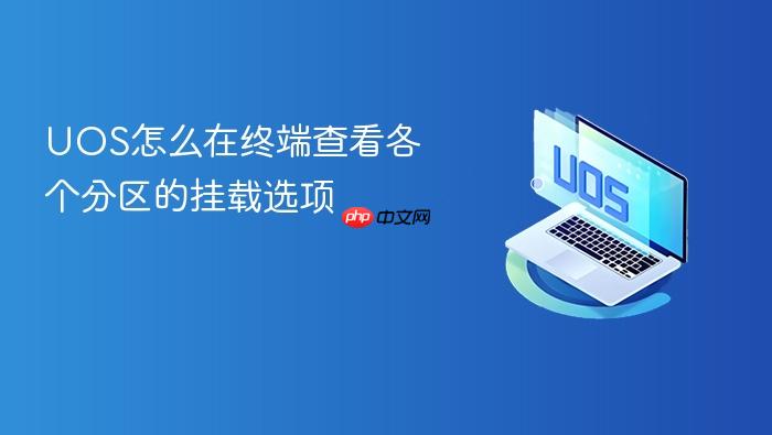 uos怎么在终端查看各个分区的挂载选项