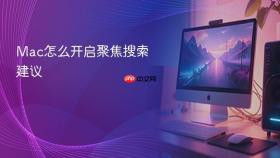 mac怎么开启聚焦搜索建议