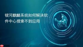 银河麒麟系统如何解决软件中心搜索不到应用