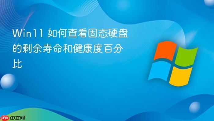 win11 如何查看固态硬盘的剩余寿命和健康度百分比