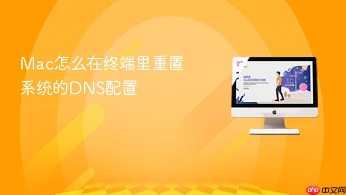 mac怎么在终端里重置系统的dns配置
