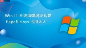 win11 系统盘爆满发现是 pagefile.sys 占用太大