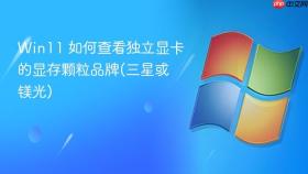 win11 如何查看独立显卡的显存颗粒品牌(三星或镁光)