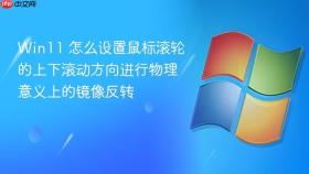 win11 怎么设置鼠标滚轮的上下滚动方向进行物理意义上的镜像反转