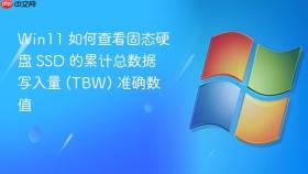 win11 如何查看固态硬盘 ssd 的累计总数据写入量 (tbw) 准确数值
