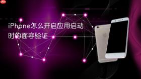 iphone怎么开启应用启动时的面容验证