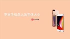 苹果手机怎么改字体大小