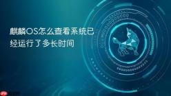 麒麟OS怎么查看系统已经运行了多长时间