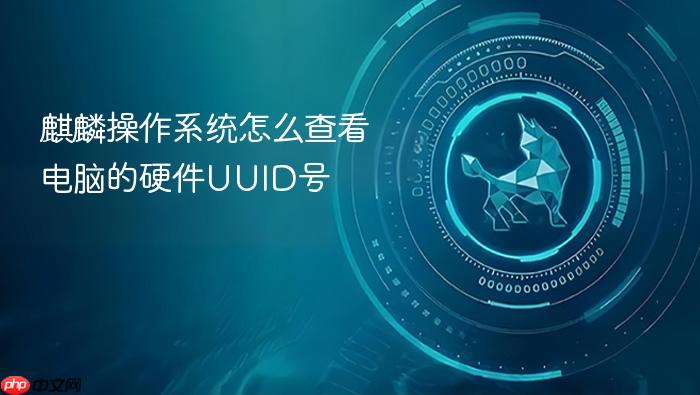 麒麟操作系统怎么查看电脑的硬件uuid号