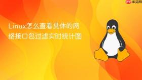 linux怎么查看具体的网络接口包过滤实时统计图