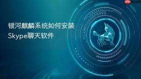 银河麒麟系统如何安装Skype聊天软件