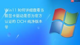 win11 如何详细查看当前显卡驱动是否为官方认证的 dch 纯净版本号