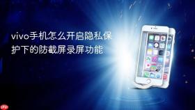 vivo手机怎么开启隐私保护下的防截屏录屏功能