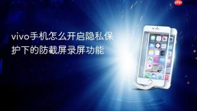 vivo手机怎么开启隐私保护下的防截屏录屏功能