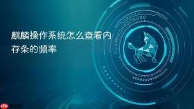 麒麟操作系统怎么查看内存条的频率