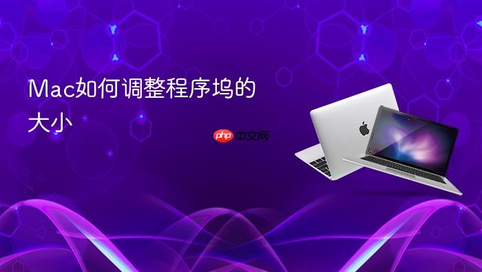 mac如何调整程序坞的大小